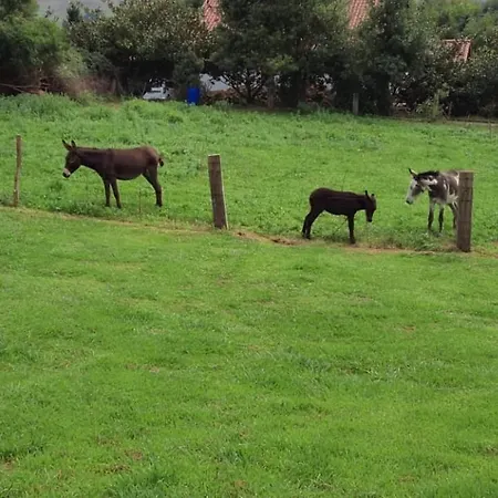 Appartement Puente Galizano