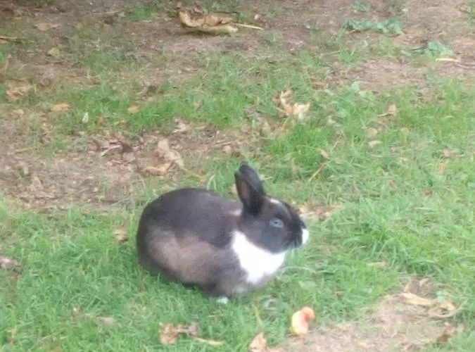 Апартаменты Puente Галисано