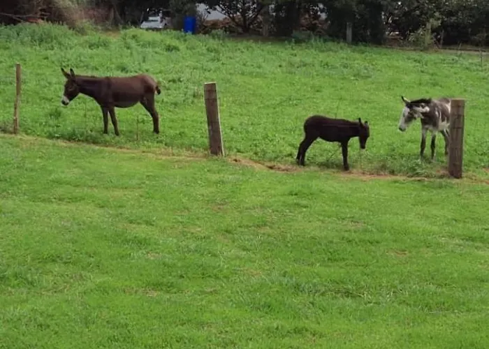 Апартаменты Puente Галисано