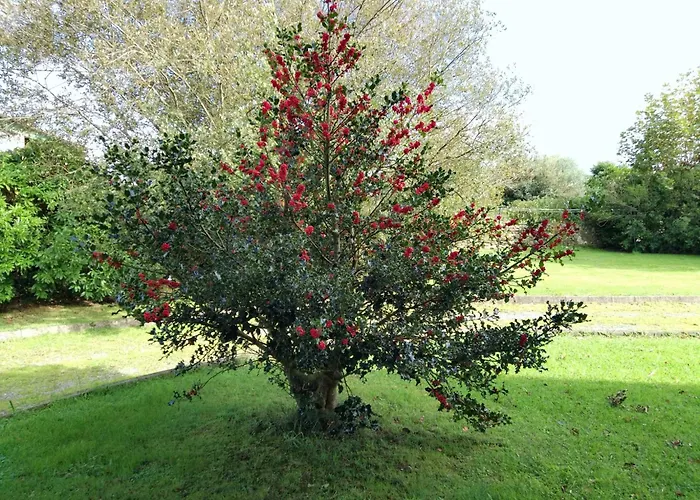 Puente Апартаменты