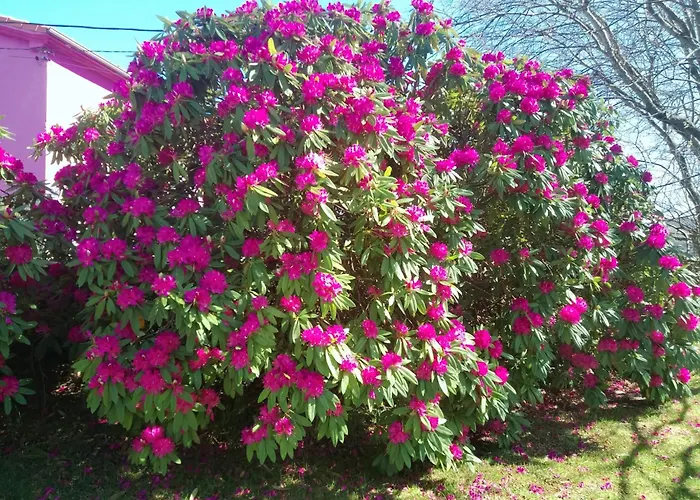 Puente Апартаменты