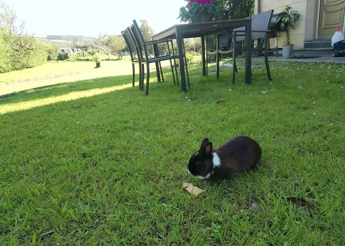 Puente Галисано