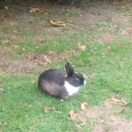 شقة Puente غاليزانو