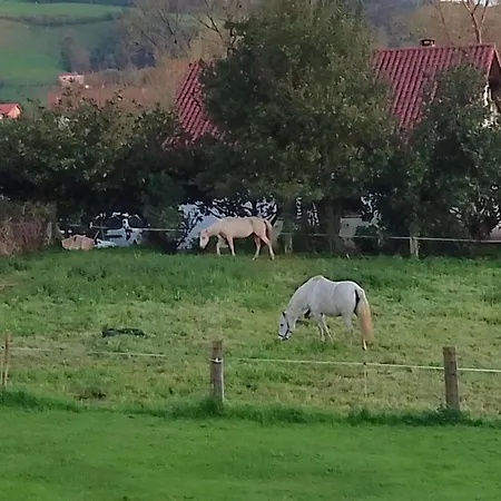 Puente غاليزانو