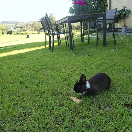 Puente غاليزانو