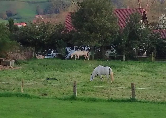 Puente غاليزانو